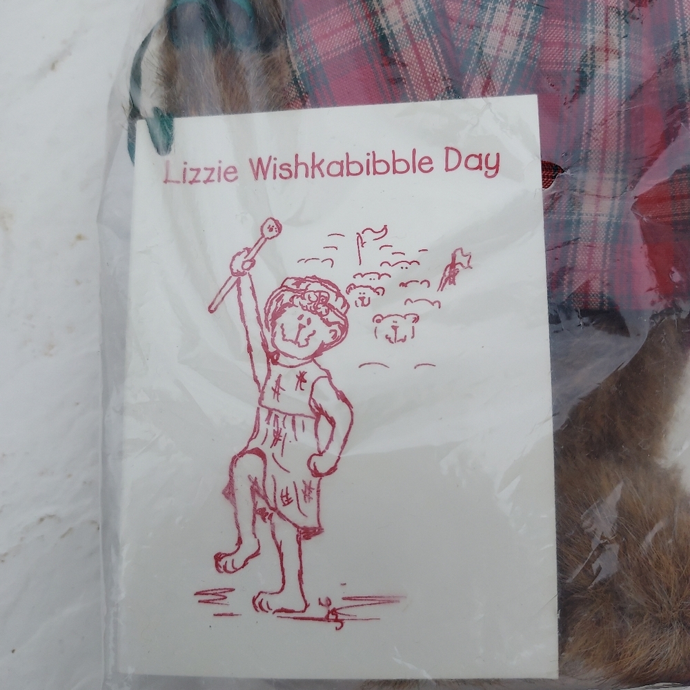 Boyds Bear Lizzie Wishkabibble Day NWT And Small Story Book- sealed original bag - Picture 5 of 5